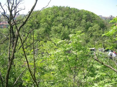 Pohled z Bohdalce na Tyršův vrch, zdroj: Wikimedia Commons