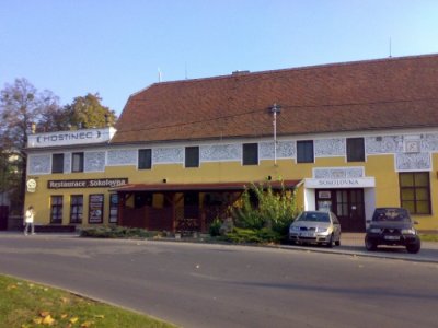 Sokol Bzenec (Zdroj: Internetové stránky Sokola Bzenec, citováno dne 29. 8. 2018, http://www.sokolbzenec.cz/fotogalerie ) 
