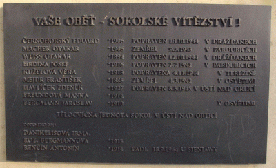zdroj foto: Petr Hurych, vets.cz 
