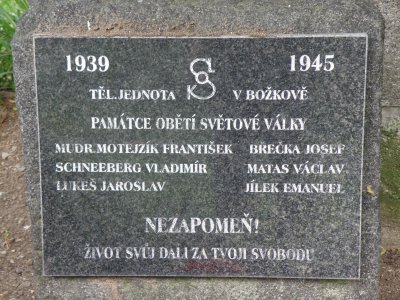 detaily;  foto Pavel Michalec, červen 2020