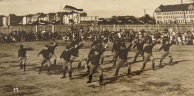 veřejné cvičišti konané v roce 1929 (zdroj: kronika Sokola Plzeň II.)