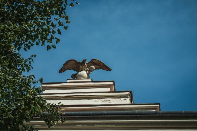 Sokol – detail nad vstupem, zdroj: ČOS