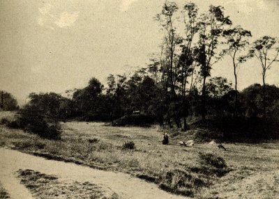 Původní louka a močál, kde byla zbudována nová olomoucká sokolovna, zdroj: Památník k šedesátiletému trvání Sokola v Olomouci 1869–1929, knihovna ČOS