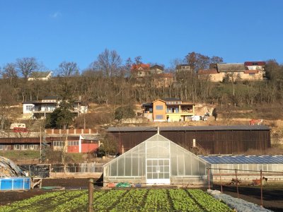 pohled na lokalitu, současnost (zdroj: dumnavinici.-cz)